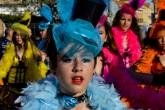 carnaval-miguelturra-carrozas-2014