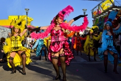 carnaval-miguelturra-carrozas-2014