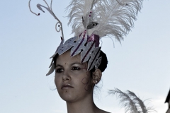 carnaval-miguelturra-carrozas-2014