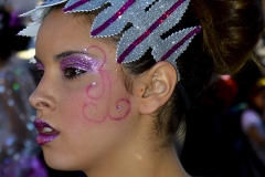 carnaval-miguelturra-carrozas-2014