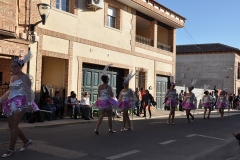 carnaval-miguelturra-carrozas-2014