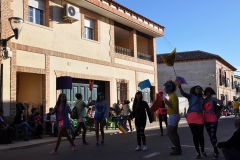 carnaval-miguelturra-carrozas-2014