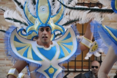 carnaval-miguelturra-carrozas-2014