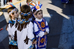carnaval-miguelturra-carrozas-2014
