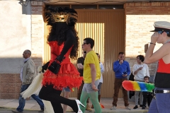 carnaval-miguelturra-carrozas-2014