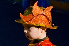 carnaval-miguelturra-carrozas-2014