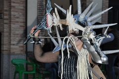 carnaval-miguelturra-carrozas-2014