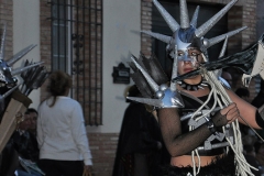 carnaval-miguelturra-carrozas-2014