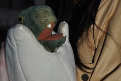 carnaval-miguelturra-carrozas-2014