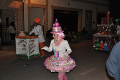 carnaval-miguelturra-carrozas-2014