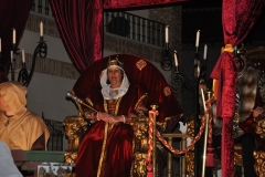 carnaval-miguelturra-carrozas-2014