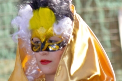 carnaval-miguelturra-carrozas-2015