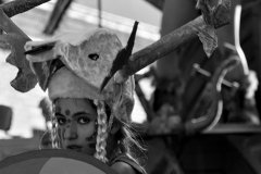 carnaval-miguelturra-carrozas-2015