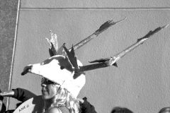carnaval-miguelturra-carrozas-2015