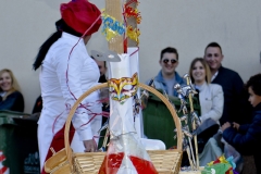 carnaval-miguelturra-carrozas-2015