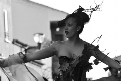 carnaval-miguelturra-carrozas-2015