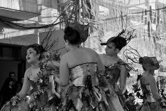 carnaval-miguelturra-carrozas-2015