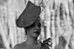 carnaval-miguelturra-carrozas-2015