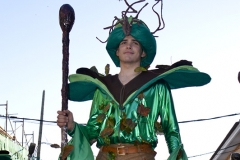 carnaval-miguelturra-carrozas-2015