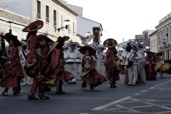 carnaval-miguelturra-carrozas-2015