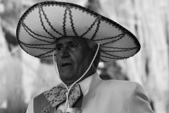 carnaval-miguelturra-carrozas-2015