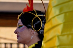 carnival-miguelturra-carrozas-2015