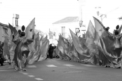 carnival-miguelturra-carrozas-2015