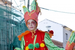 carnival-miguelturra-carrozas-2015