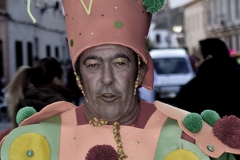 carnival-miguelturra-carrozas-2015