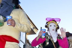 carnival-miguelturra-carrozas-2015