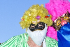 carnival-miguelturra-carrozas-2015