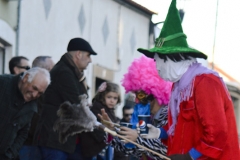 carnival-miguelturra-carrozas-2015