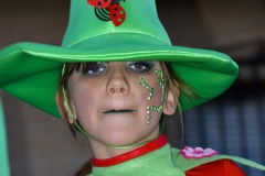 carnival-miguelturra-carrozas-2015