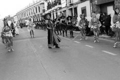 carnival-miguelturra-carrozas-2015