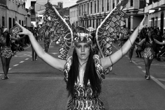 carnival-miguelturra-carrozas-2015