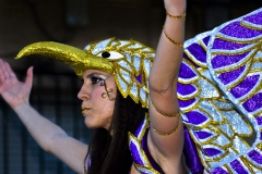 carnival-miguelturra-carrozas-2015