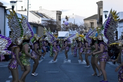 carnival-miguelturra-carrozas-2015