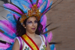carnival-miguelturra-carrozas-2015