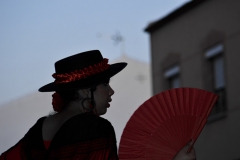 carnival-miguelturra-carrozas-2015