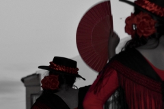 carnival-miguelturra-carrozas-2015