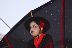 carnival-miguelturra-carrozas-2015