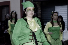 carnival-miguelturra-carrozas-2015