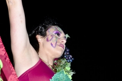 carnival-miguelturra-carrozas-2015