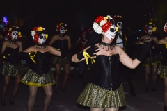 carnival-miguelturra-carrozas-2015