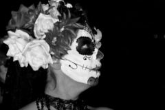 carnival-miguelturra-carrozas-2015