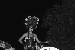 carnival-miguelturra-carrozas-2015