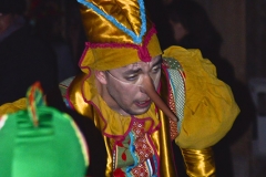 carnival-miguelturra-carrozas-2015