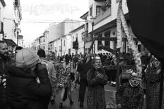 carnival-miguelturra-carrozas-2016