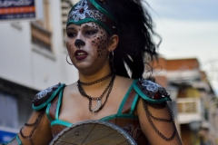 carnival-miguelturra-carrozas-2016