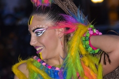 carnival-miguelturra-carrozas-2016